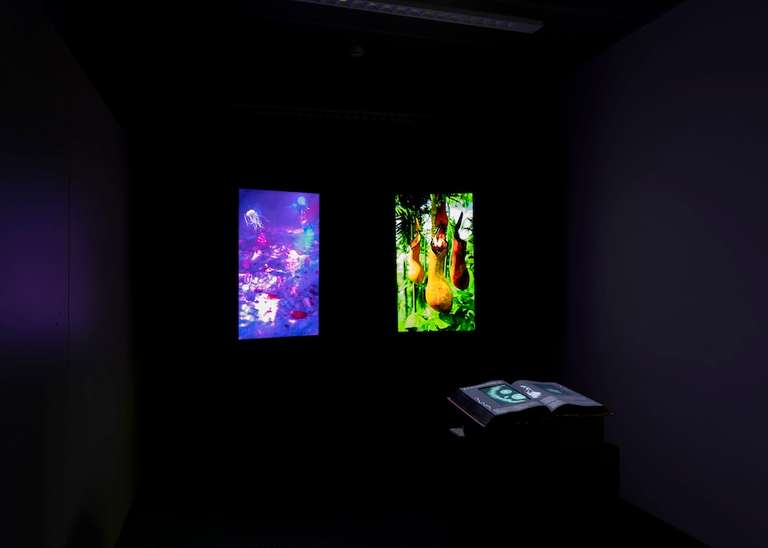Sebastian Alexander Konzett, “Holobiomics”