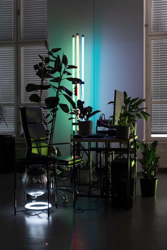 A desk set up, with a PC and screen, surounded by plants and lights.