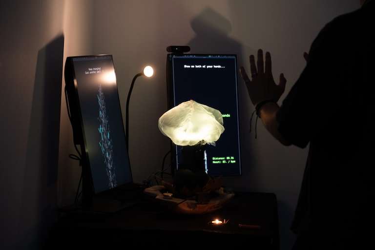Anima is a installation with 2 screens, and a 